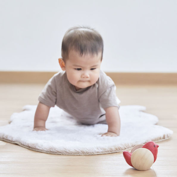 PlanToys Bird Roller