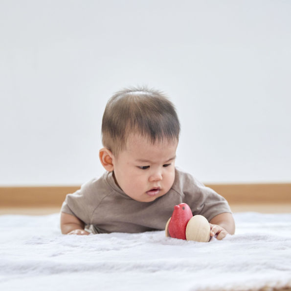PlanToys Bird Roller