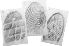 Alternative view 5 of Wild Environmental Science - Forensic Science Lab