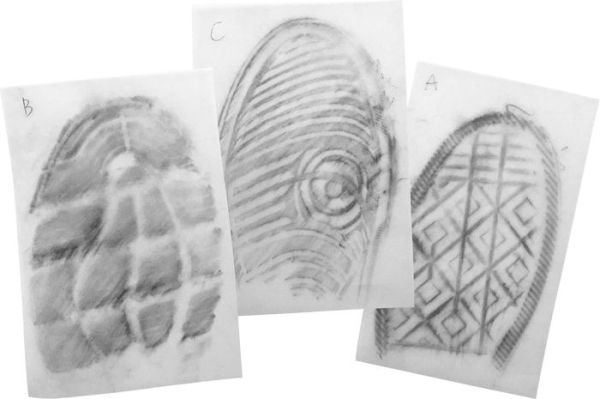 Wild Environmental Science - Forensic Science Lab