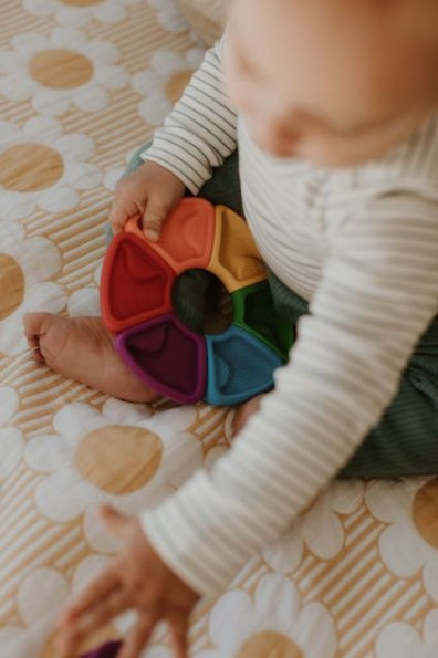 Colour Wheel Rainbow Bright