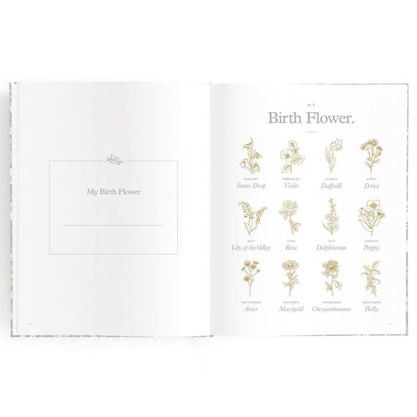 Baby Book Forest Friends Sage