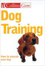 Dog Training: How to educate your dog