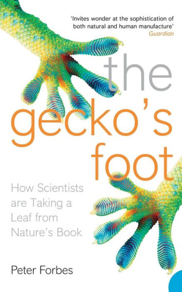 The Gecko's Foot: How Scientists are Taking a Leaf from Nature's Book