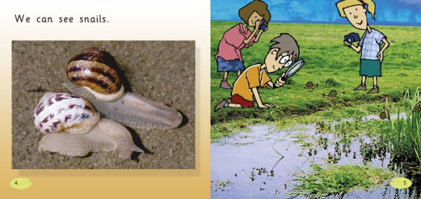 The Pond: Band 01B/Pink B