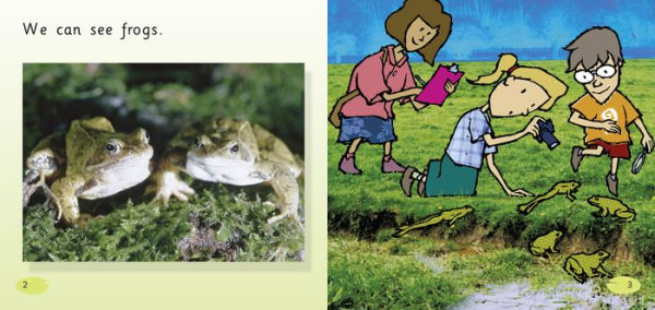 The Pond: Band 01B/Pink B