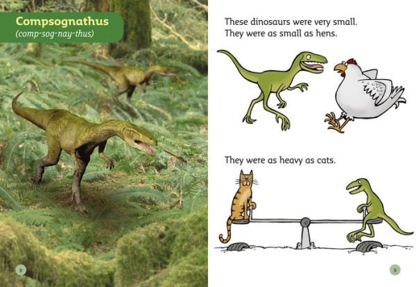 Top Dinosaurs: Blue/ Band 4