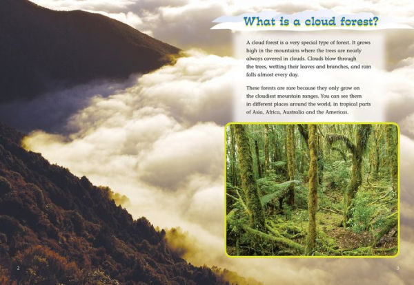 The Cloud Forest: Band 11/Lime