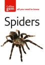 Spiders