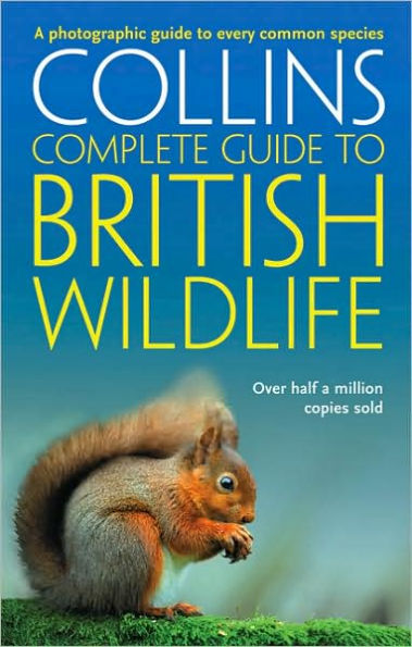 British Wildlife: A Photographic Guide to Every Common Species