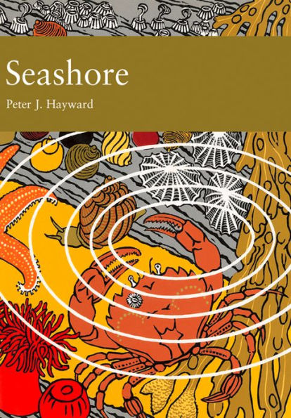 Seashore (Collins New Naturalist Library, Book 94)