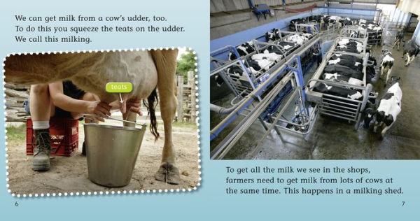 From Cow to Carton: Band 04/Blue