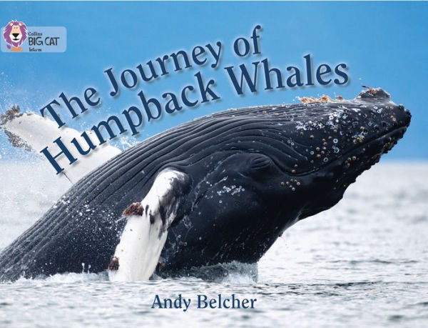 The Journey of Humpback Whales: Band 07/Turquoise