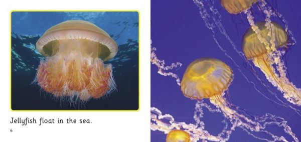 In the Sea: Band 01B/Pink B