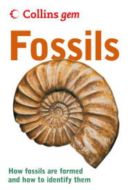 Title: Fossils (Collins Gem), Author: Douglas Palmer
