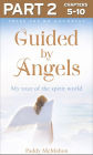 Guided By Angels: Part 2 of 3: There Are No Goodbyes, My Tour of the Spirit World