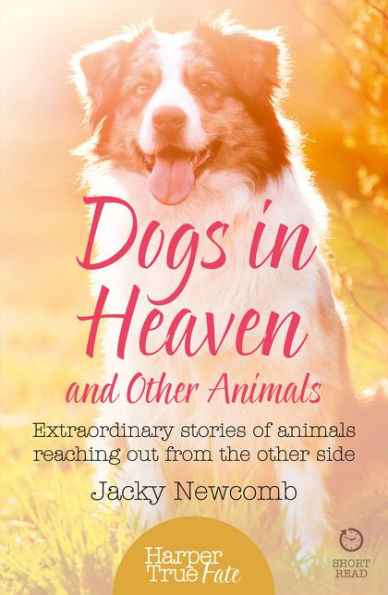 Dogs in Heaven: and Other Animals: Extraordinary stories of animals reaching out from the other side