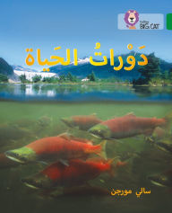 Title: Collins Big Cat Arabic - Life Cycles: Level 15, Author: Collins UK