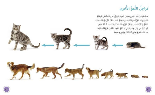 Collins Big Cat Arabic - Life Cycles: Level 15