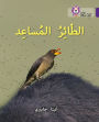 Collins Big Cat Arabic - The Helper Bird: Level 8