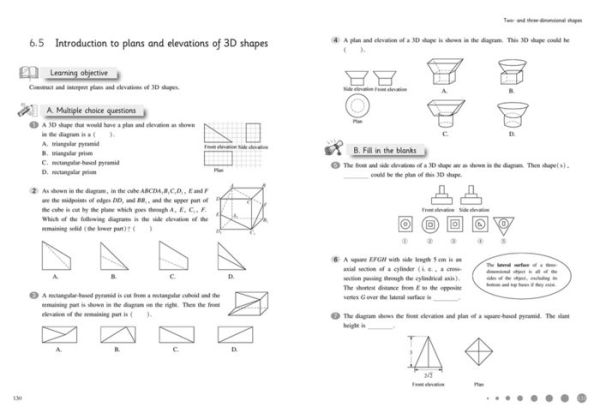 Shanghai Maths - The Shanghai Maths Project Practice Book Year 11: For the English National Curriculum