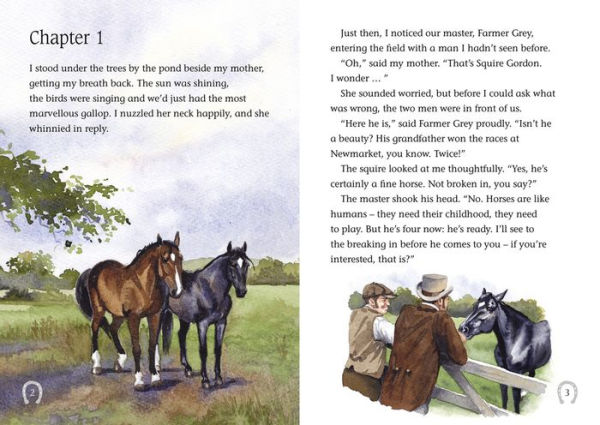 Black Beauty: Sapphire/Band 16