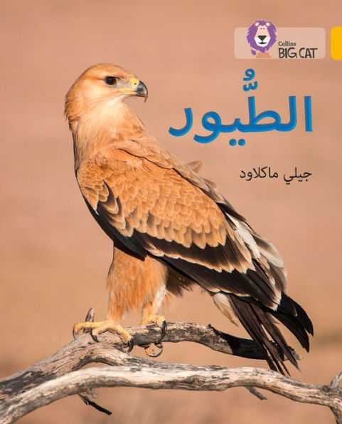 Collins Big Cat Arabic - Birds: Level 9