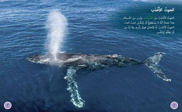 Collins Big Cat Arabic - Journey of Humpback Whales: Level 12
