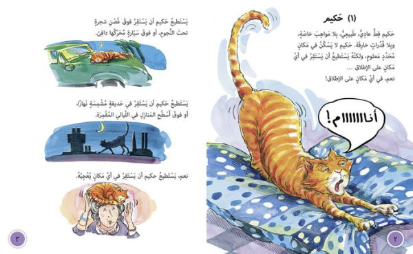 Collins Big Cat Arabic - Hakim's Tale: Level 13