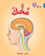 Title: Collins Big Cat Arabic - Your Brain: Level 16, Author: Collins UK