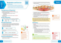 Alternative view 4 of Collins GCSE Revision and Practice: New 2016 Curriculum - AQA GCSE Biology: All-in-one Revision and Practice