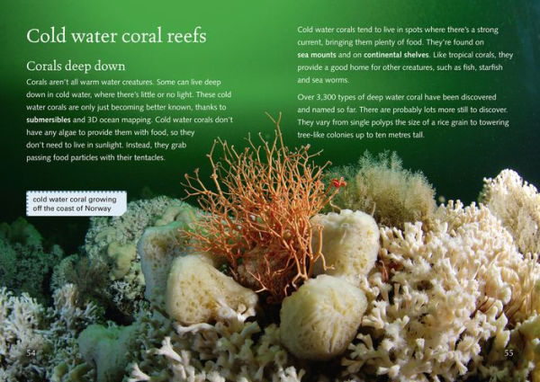 Collins Big Cat - Coral Reefs: Band 18/Pearl