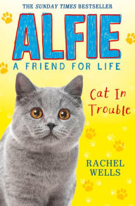 Title: Alfie Cat In Trouble, Author: Rachel Wells