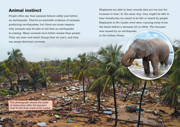 Collins Big Cat - Living in an Earthquake Zone: Band 13/Topaz