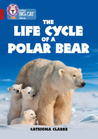 Title: Collins Big Cat - The Life Cycle of a Polar Bear: Band 14/Ruby, Author: Catronia Clarke