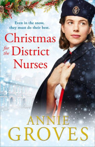 Title: Christmas for the District Nurses (The District Nurses, Book 3), Author: Annie Groves