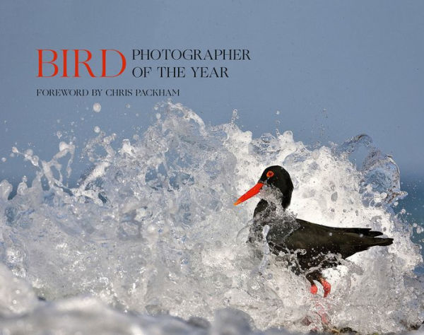 Bird Photographer of the Year: Collection (Bird Photographer of the Year