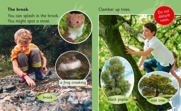 Collins Big Cat Phonics for Letters and Sounds - Non-fiction: Band 4/Blue