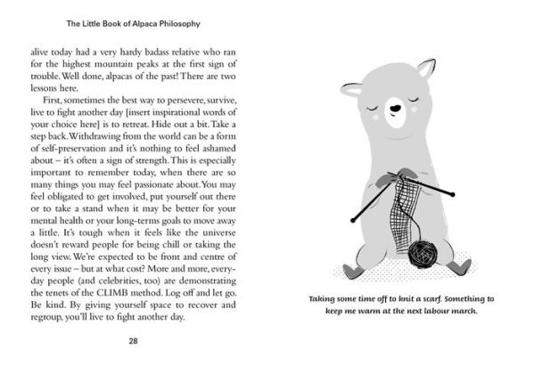 The Little Book of Alpaca Philosophy: A calmer, wiser, fuzzier way of life (The Little Animal Philosophy Books)