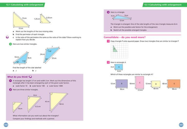 White Rose Maths - Key Stage 3 Maths Student Book 3