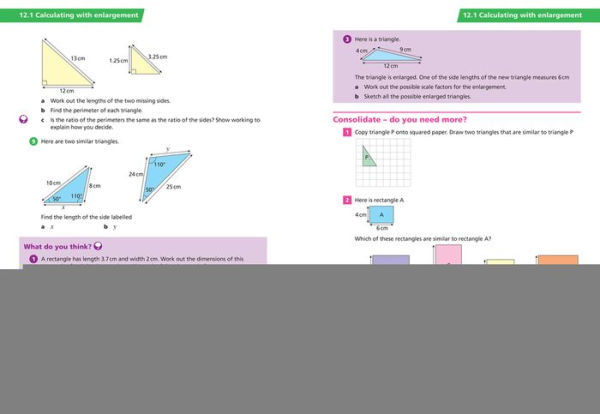 White Rose Maths - Key Stage 3 Maths Student Book 3
