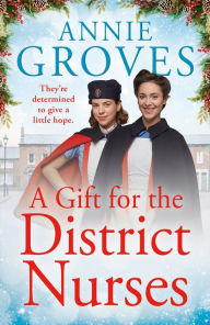 Download pdf free ebook A Gift for the District Nurses (The District Nurses, Book 4) by  