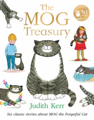 mog cat teddy