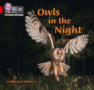 Title: Owls in the Night: Band 02B/Red B, Author: Catherine Baker