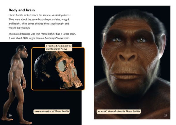 The Collins Big Cat - THE STORY OF US: BECOMING HUMAN: Band 18/Pearl: Band 18/Pearl