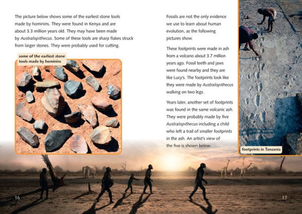 The Collins Big Cat - THE STORY OF US: BECOMING HUMAN: Band 18/Pearl: Band 18/Pearl