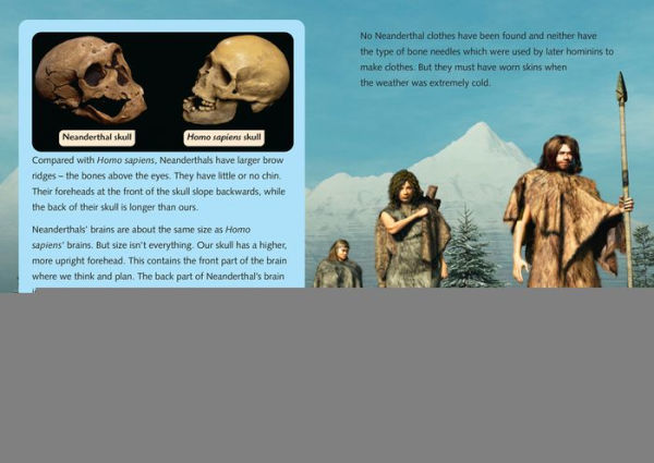 The Collins Big Cat - THE STORY OF US: BECOMING HUMAN: Band 18/Pearl: Band 18/Pearl