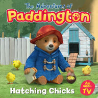 Title: Hatching Chicks: The Adventures of Paddington, Author: HarperCollins Children's Books