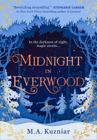 Ipod audiobooks download Midnight in Everwood 9780008500405