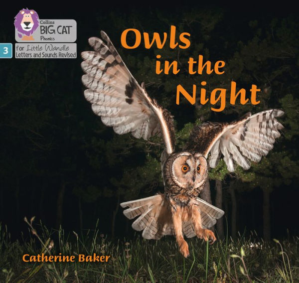 Big Cat Phonics for Little Wandle Letters and Sounds Revised - Owls in the Night: Phase 3